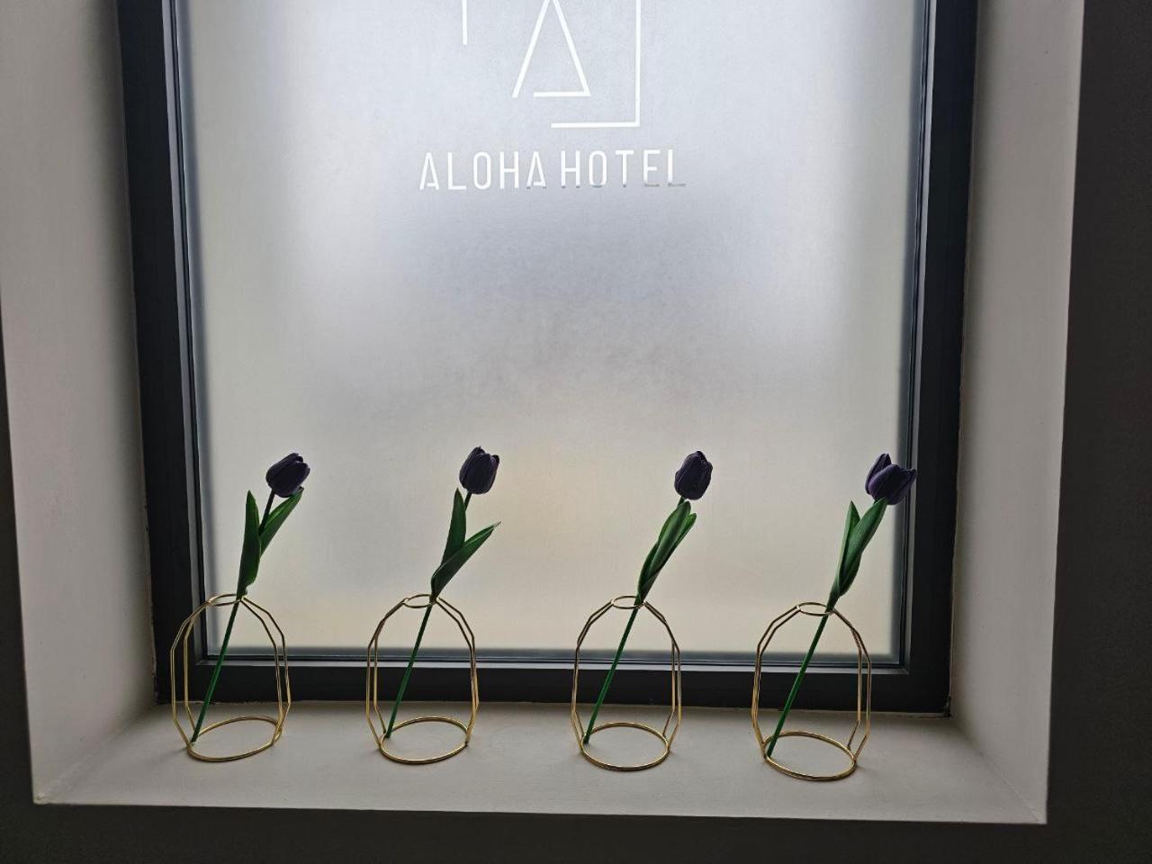 Hotel Aloha Nis Quarto foto